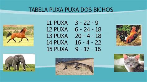 puxadas do fabio|tabela puxada do jogo do bicho descubra a emoção e a técnica .